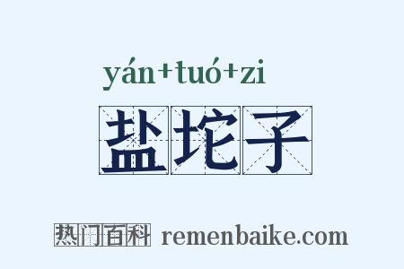 盐坨子是什么意思的图片